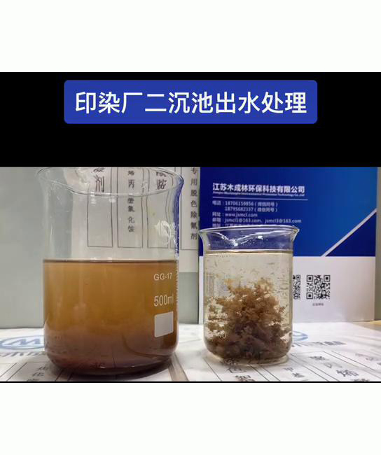 印染厂二沉池出水处理